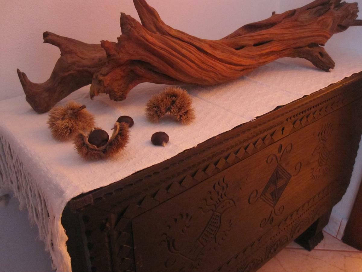 B&B I Fenicotteri Muravera Extérieur photo